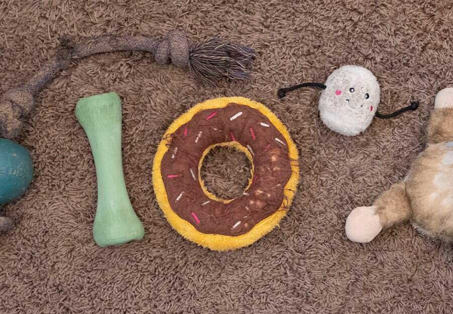 Are Plastic Dog Toys Safe